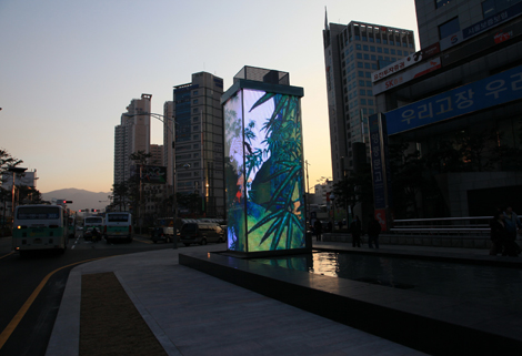 MEDIA ART WALL (Daegu) 현장 사진 2