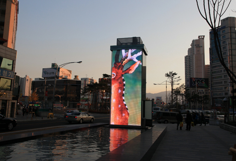 MEDIA ART WALL (Daegu) 현장 사진 4